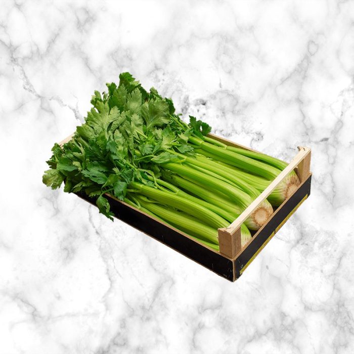 celery_leafy_green_rom_italy