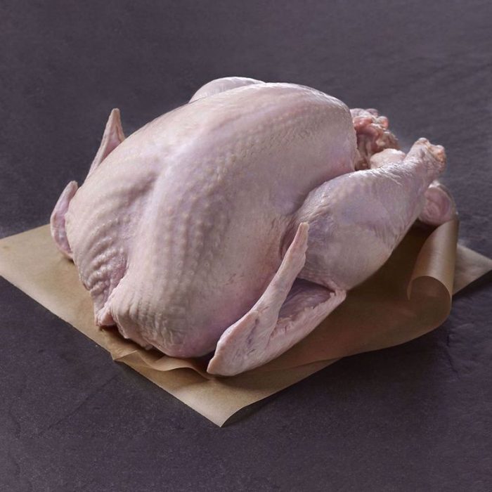 新鲜的bronze_turkey