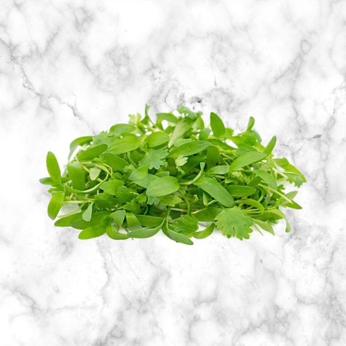 fresh_coriander