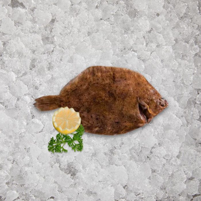 fresh_caught_lemon_sole