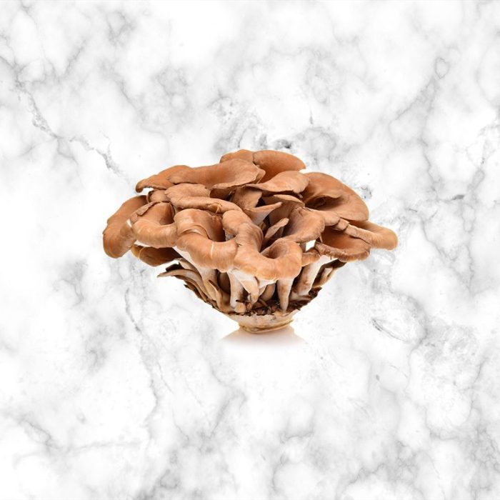 maitake_mushrooms